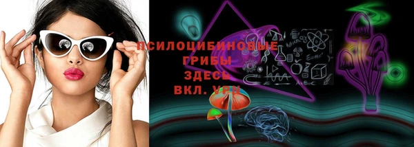 твердый Бикин