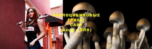 первитин Нефтегорск