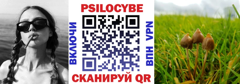 дарк нет формула  Калязин  Галлюциногенные грибы Psilocybine cubensis 